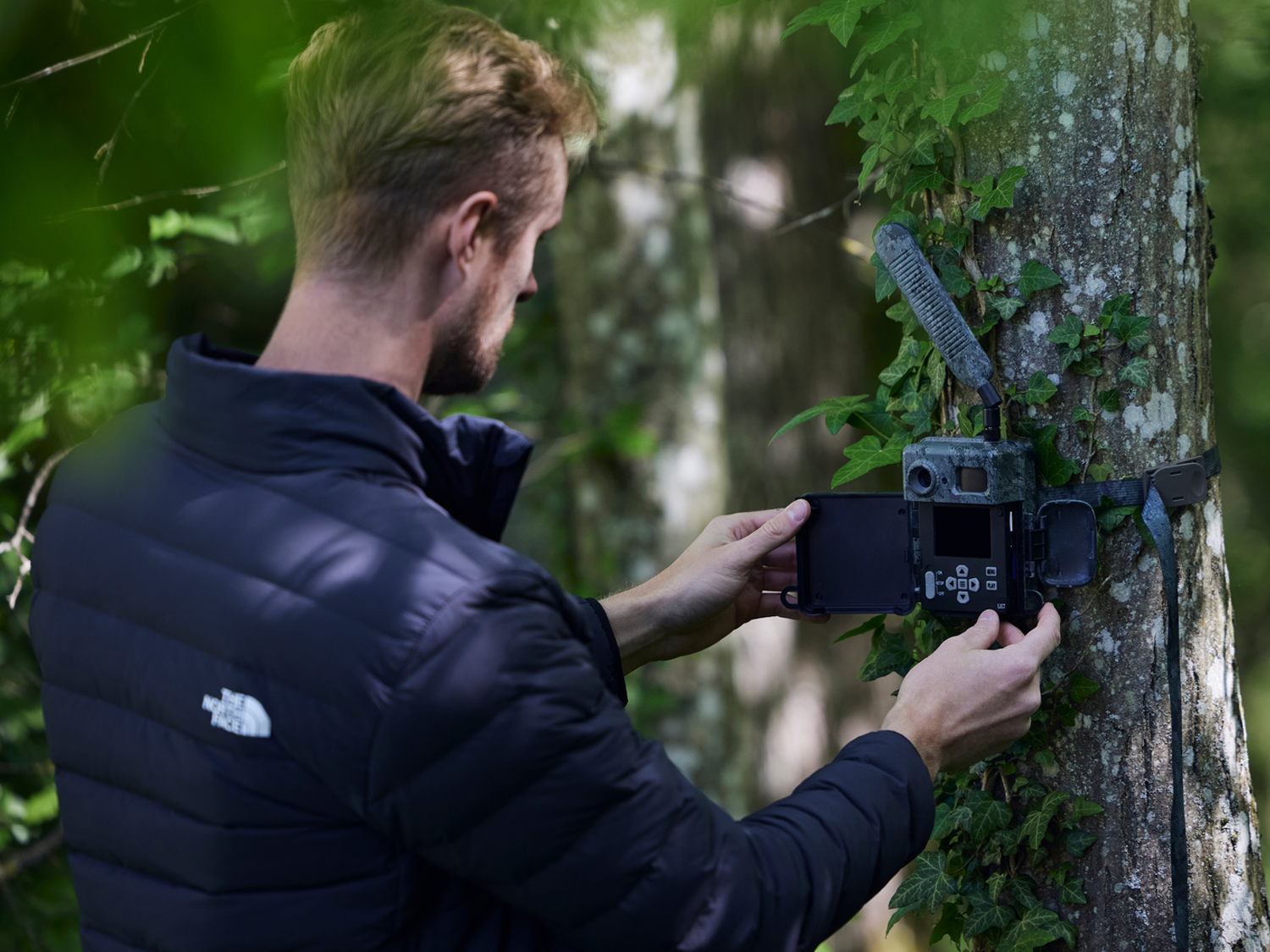 Why Use Wildlife Cameras for UK Nature Watching Blog Post Cover - Reveal Wildlife