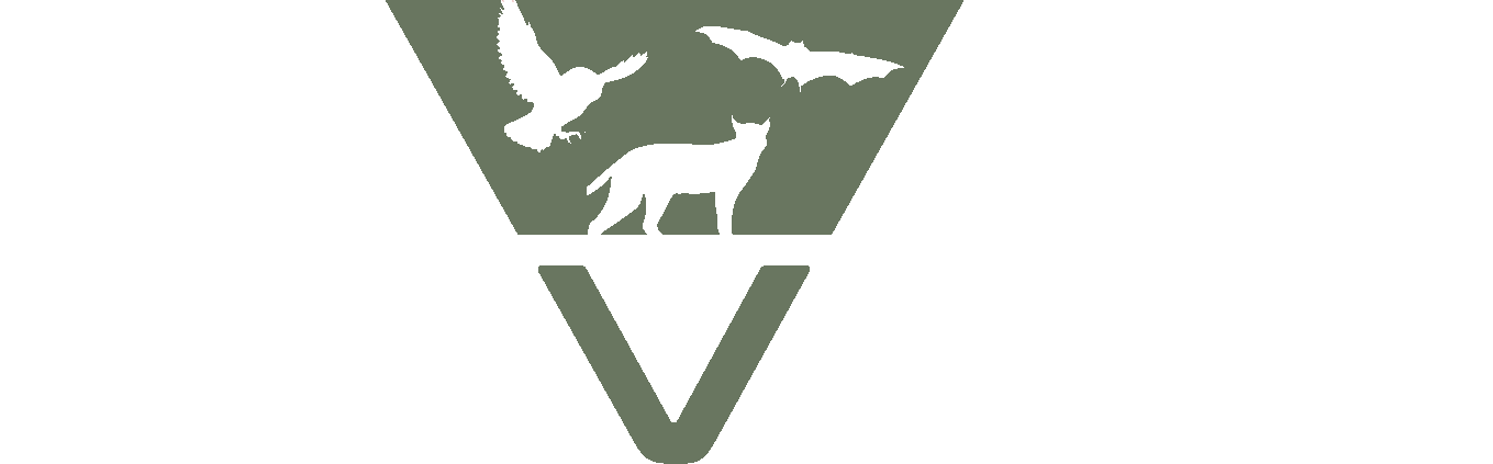 Reveal Wildlife White Green Animals Logo